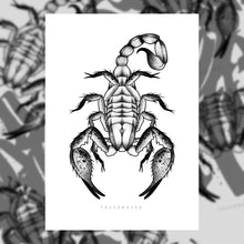 Load image into Gallery viewer, SCORPIUS
