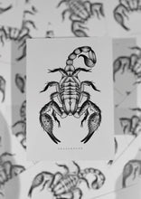 Load image into Gallery viewer, SCORPIUS
